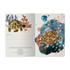 Bruno Visconti Notebook - Coral A5