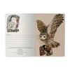 Bruno Visconti Notebook - Owls, A5