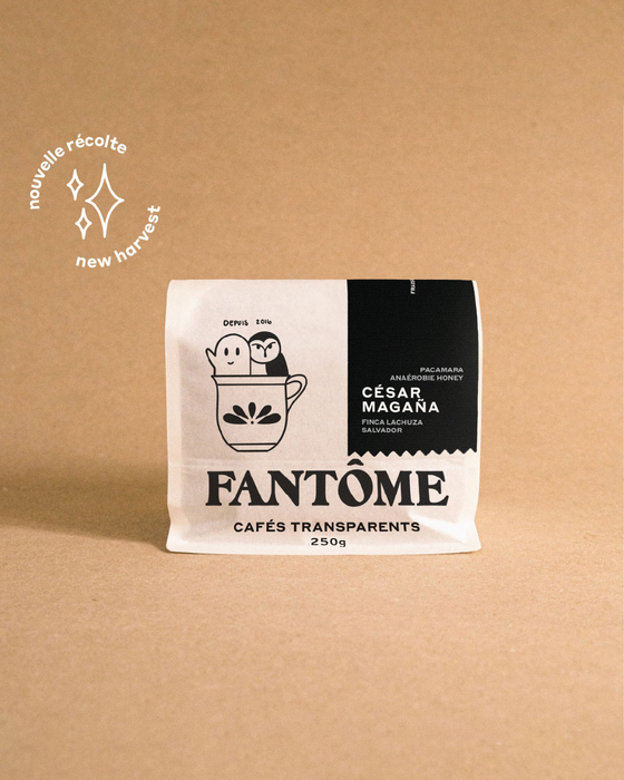 Café en grains Fantôme