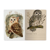 Bruno Visconti Notebook - Owls, A5