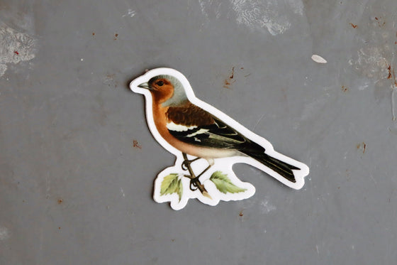 Autocollant Stay Home Club - Stoic Finch