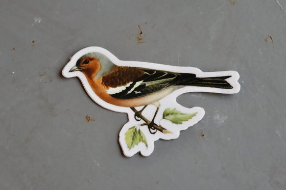 Autocollant Stay Home Club - Stoic Finch