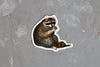 Stay Home Club Sticker - Unbothered Raccoon