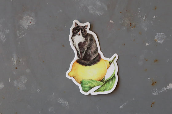 Autocollant - Lemon Cat