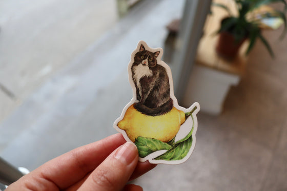 Stay Home Club Sticker - Lemon Cat