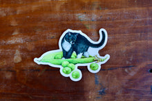  Stay Home Club Sticker - Peas Cat
